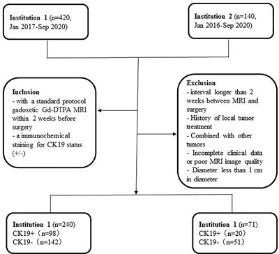 A radiomics nomogram for predicting cytokeratin 19–positive hepatocellular carcinoma: a two-center study